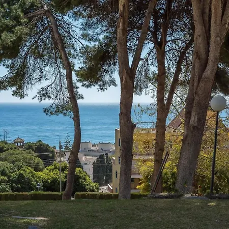 Yellow Fabuloso Andra